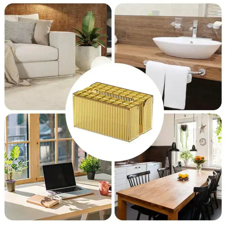 Plastic Luxury Tissue Holder